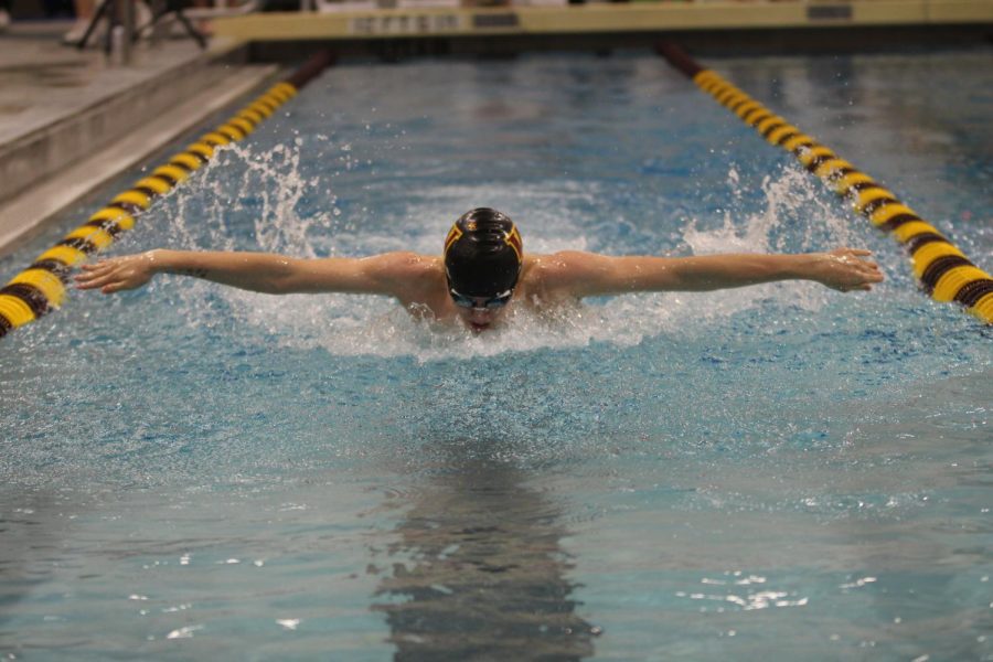 Jacob+Wygal+%2810%2C+Severance%29+swims+butterfly+during+the+March+23+meet+against+Broomfield.+The+aqua+wizards+are+working+hard+this+season+to+push+for+a+chance+at+winning+state.+%28Leah+Bacon%29