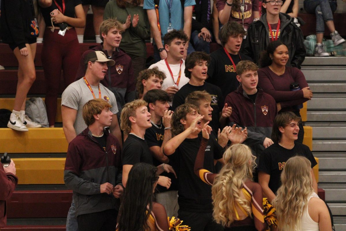 Senior students cheer as they watch the pep assembly. The assembly excited students going into homecoming weekend.
