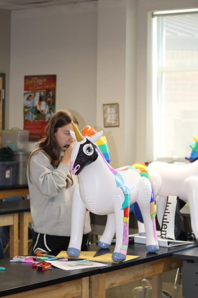 Emilee McGuire (11) draws the muscular system of a horse on a blow-up unicorn. The vet science class focuses on animal anatomy. 