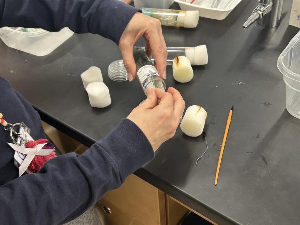 Angela Zier (staff) prepares fruit fly vials that students will use to learn about fly phenotypes. Zier prioritizes hands-on activities in the classroom to increase student learning and engagement.