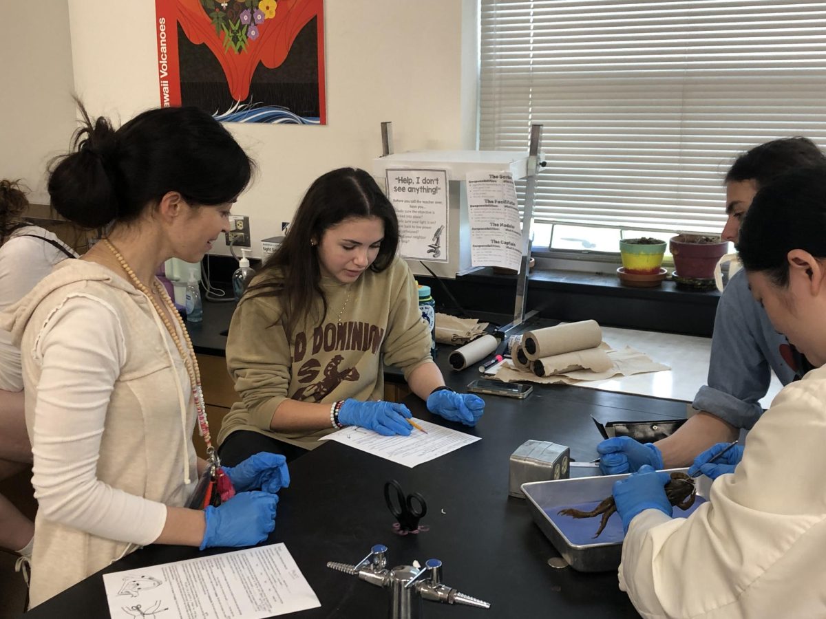 Angela Zier (staff) assists students in dissecting the frogs. The students needed to follow a procedure given to them by Zier in order to make sure they understood everything in the dissection. 