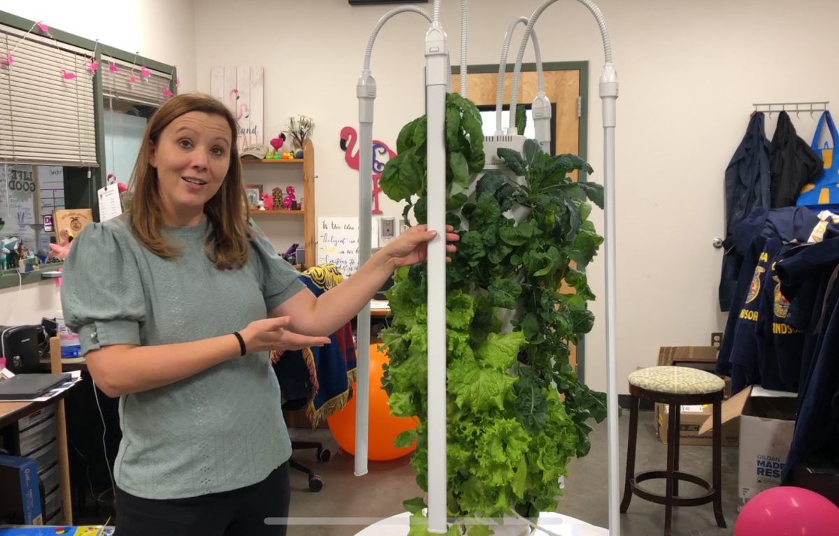 Melinda Spaur (staff) explains the technology behind the aeroponic towers. Spaur utiilizes the towers in her horticulture class. 