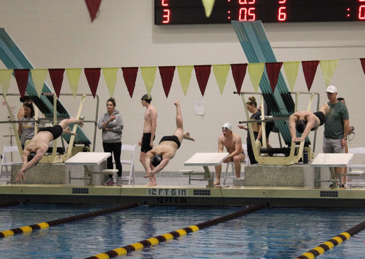 Windsor swimmers dive in for the last heat of the 100-yard freestyle on Saturday, March 8. Windsor went 1-2 in the event.