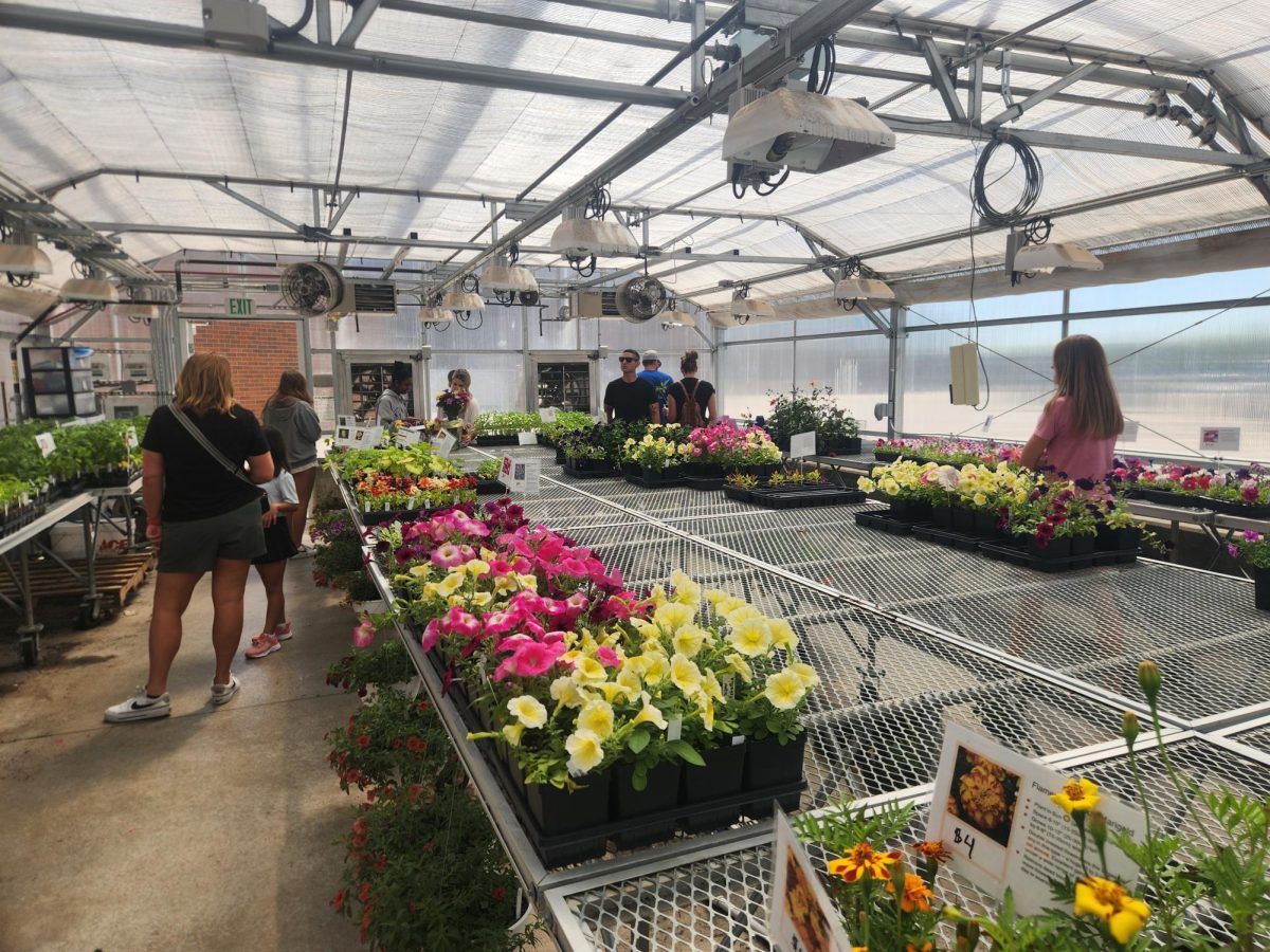 People shop in the greenhouse for plants grown by the horticulture class. The horticulture class worked all semester to grow these plants.